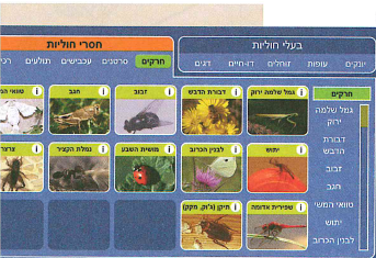 (בספר איור, היעזר במנחה)